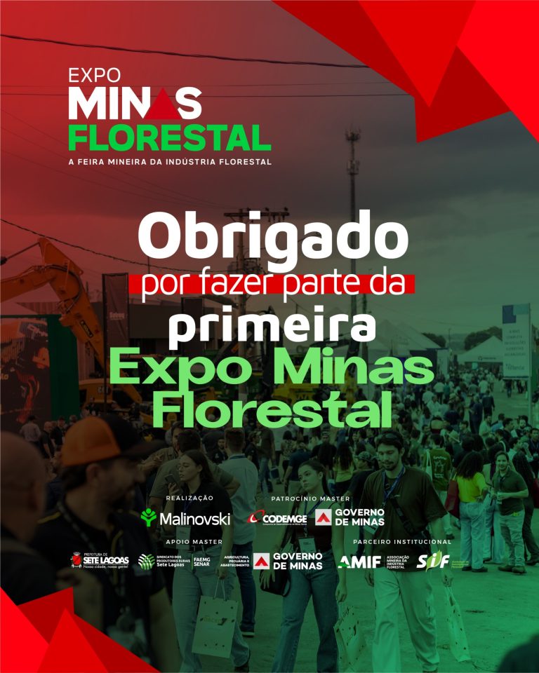 EMF Carrossel encerramento 01.jpg